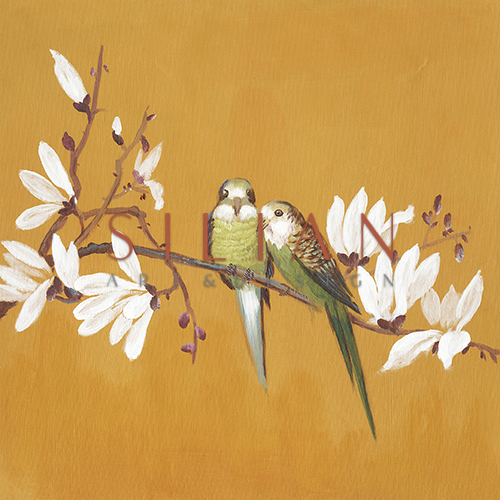 春风 II