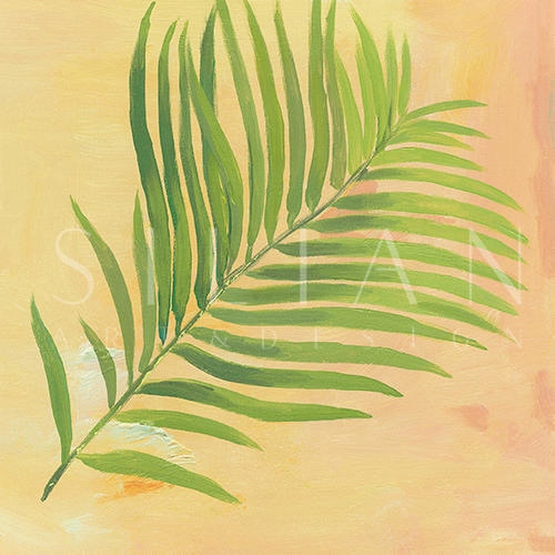 热情仲夏 XII