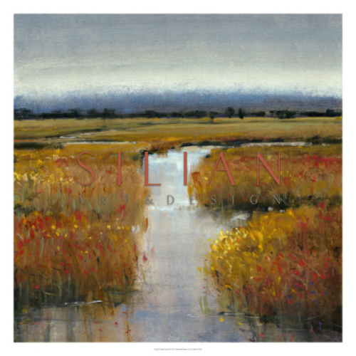 Marsh Land II