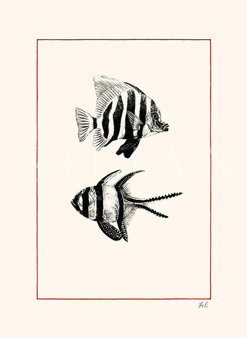 Marine Life