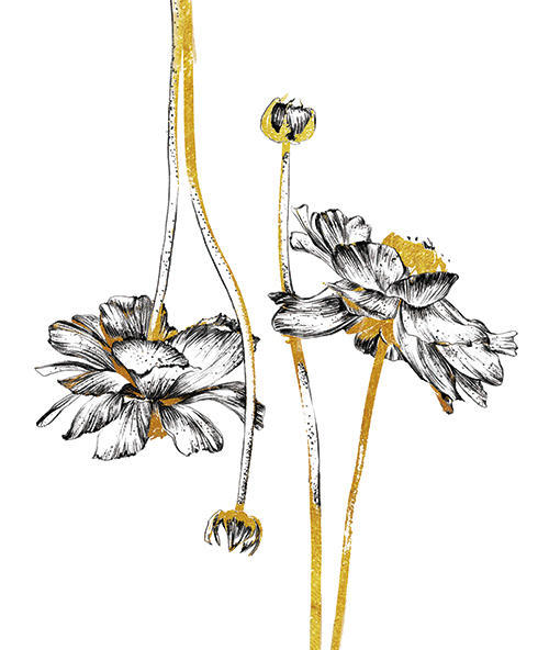 Floral Love II