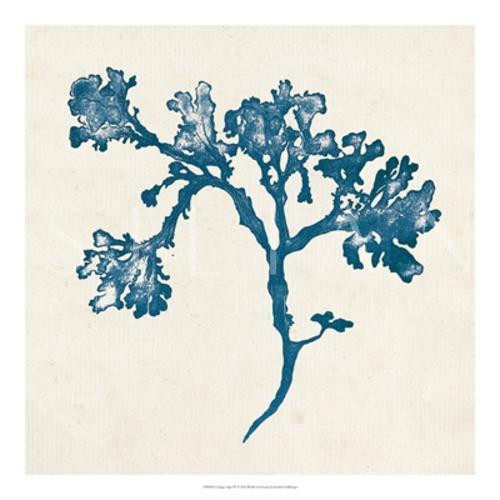 Indigo Algae IV