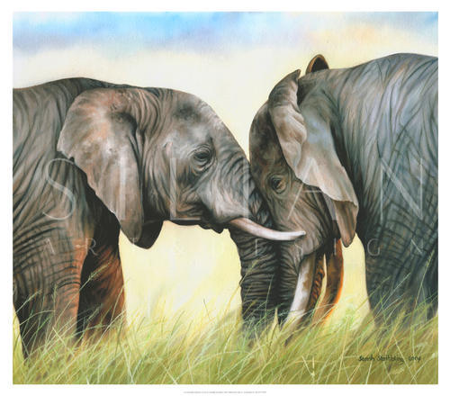 African Elephants