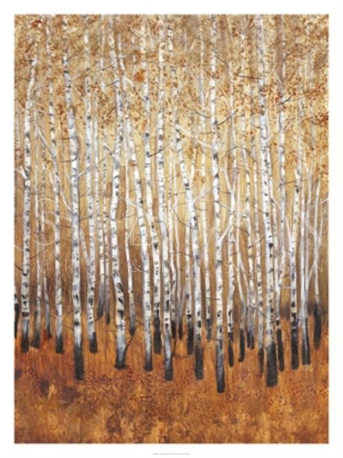 Sienna Birches I