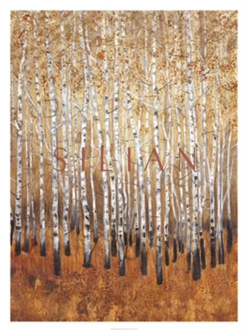 Sienna Birches I