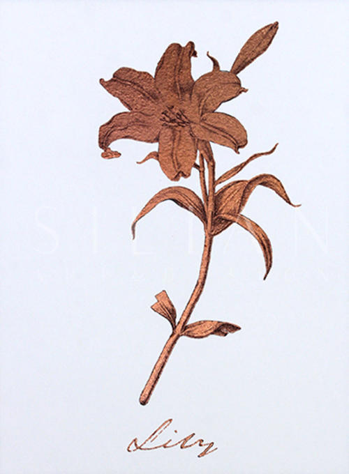 玫瑰金花 I