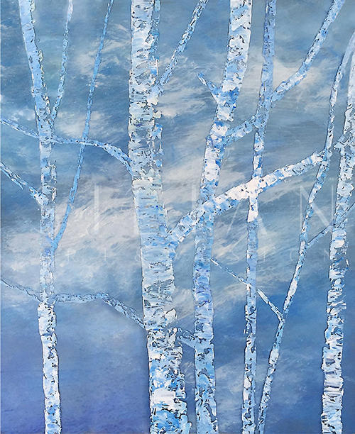 Silver Birch I