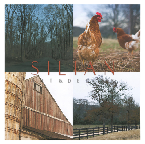 The Country III
