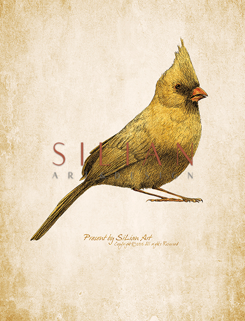 Lively Bird I