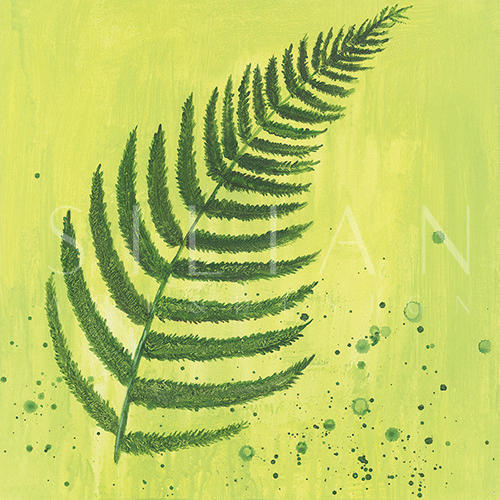 热情仲夏 XVI