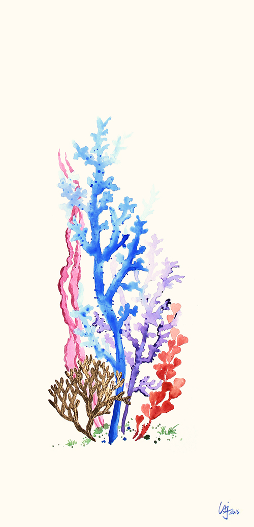 彩色珊瑚 III