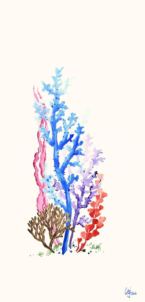 彩色珊瑚 III