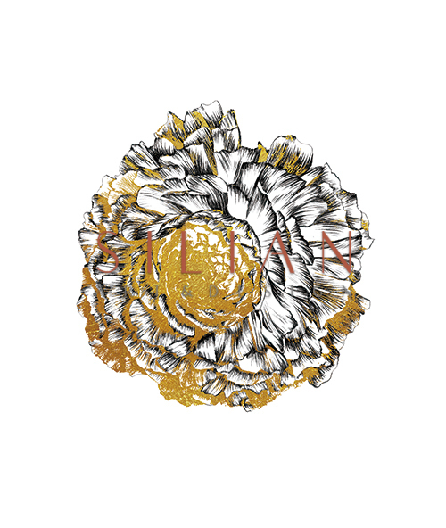 Floral Love I