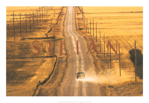 Montana Backroad