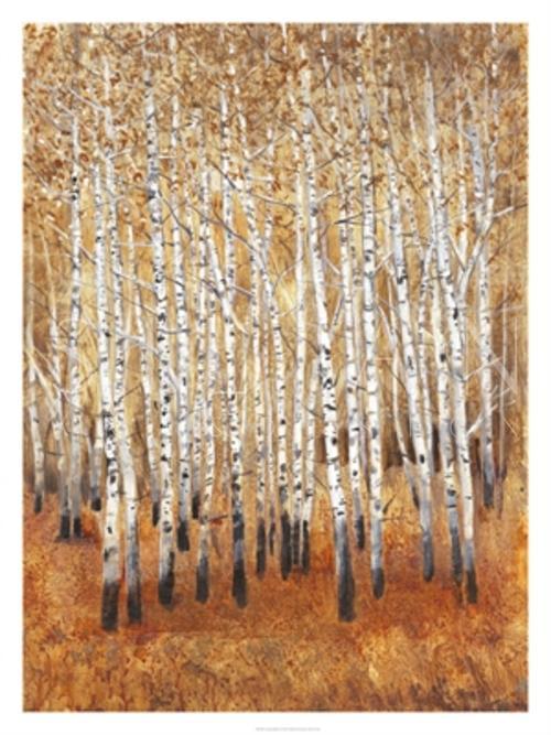Sienna Birches II