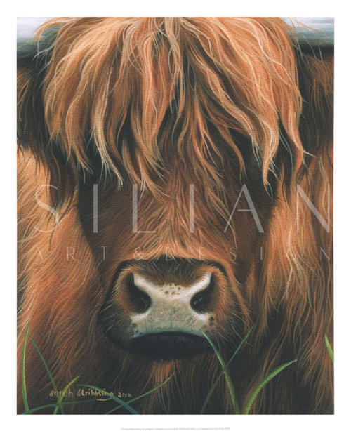 Cow Portrait