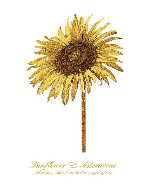 Golden Flower II