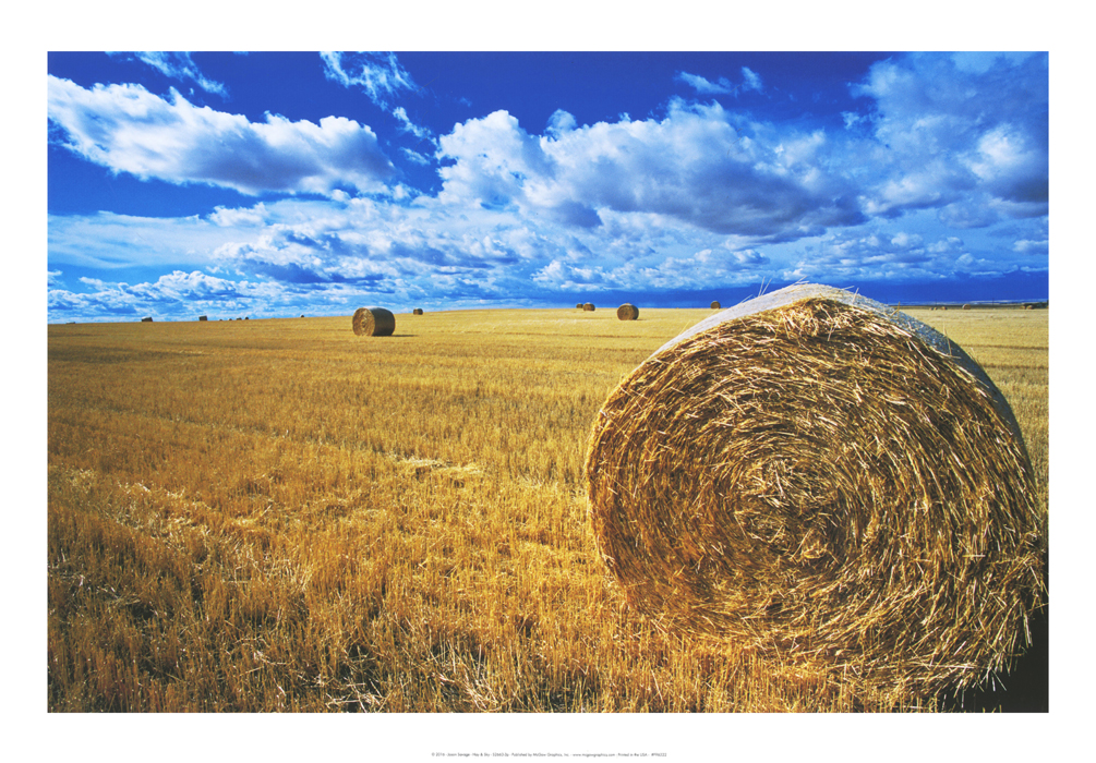 Hay & Sky