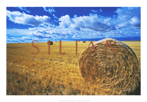 Hay & Sky