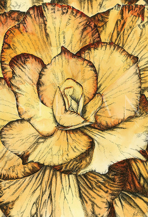 Blooms Ⅴ 