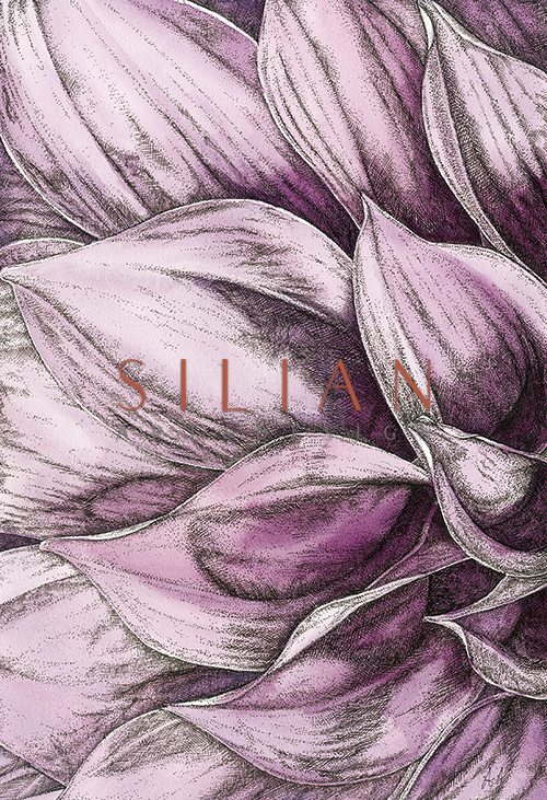 Blooms Ⅲ