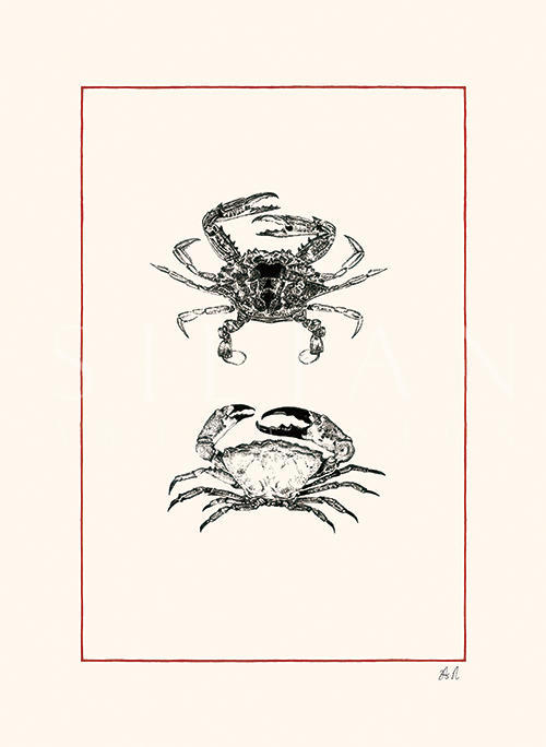 Crustaceans Ⅱ
