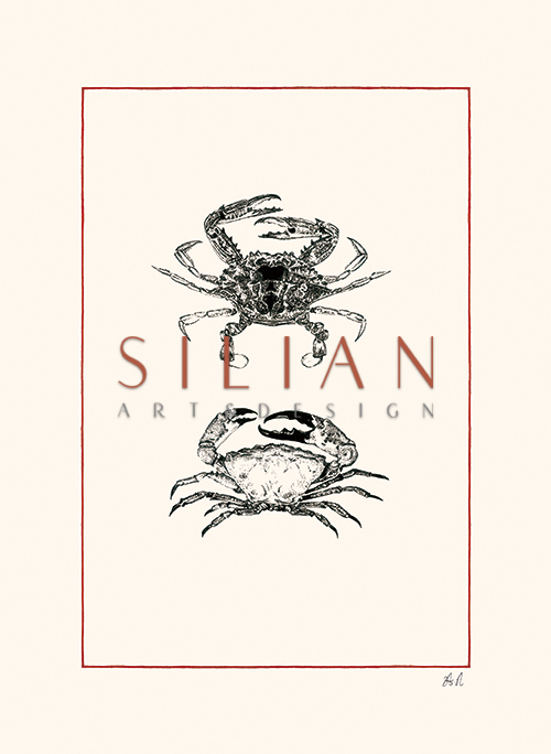 Crustaceans Ⅱ