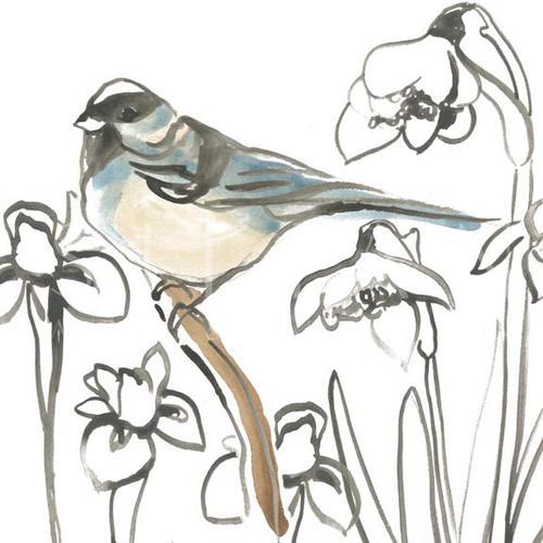 Songbird Meadow II