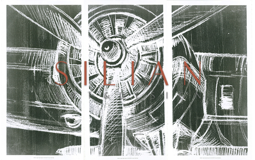 Graphic Propeller Triptych 