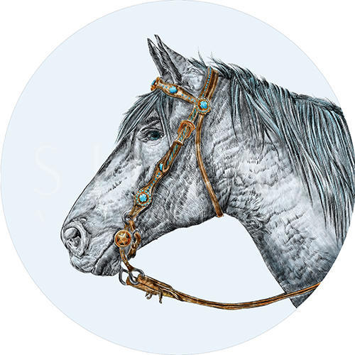 Horse Head II