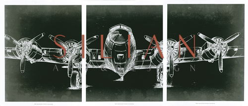 Graphic Plane Triptych