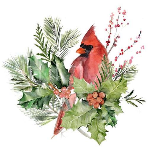 Cardinal Holly Christmas  I