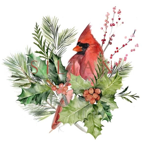 Cardinal Holly Christmas  I