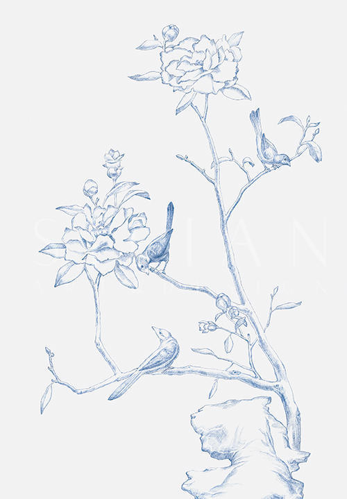 亚洲蓝中国花 ⅠⅠ