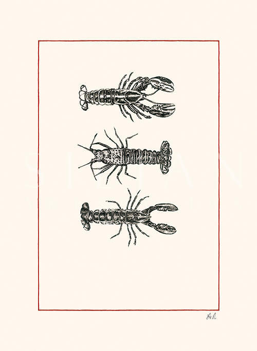 Crustaceans Ⅰ
