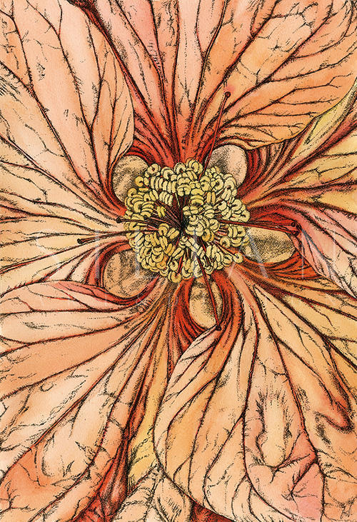 Blooms Ⅰ
