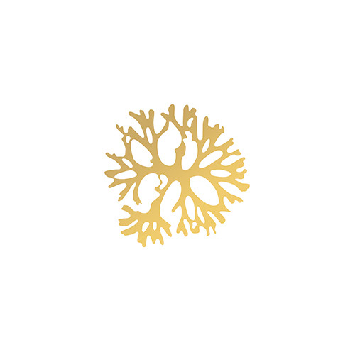 金箔海洋生物 Ⅳ