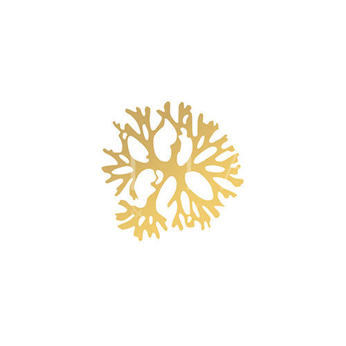 金箔海洋生物 Ⅳ