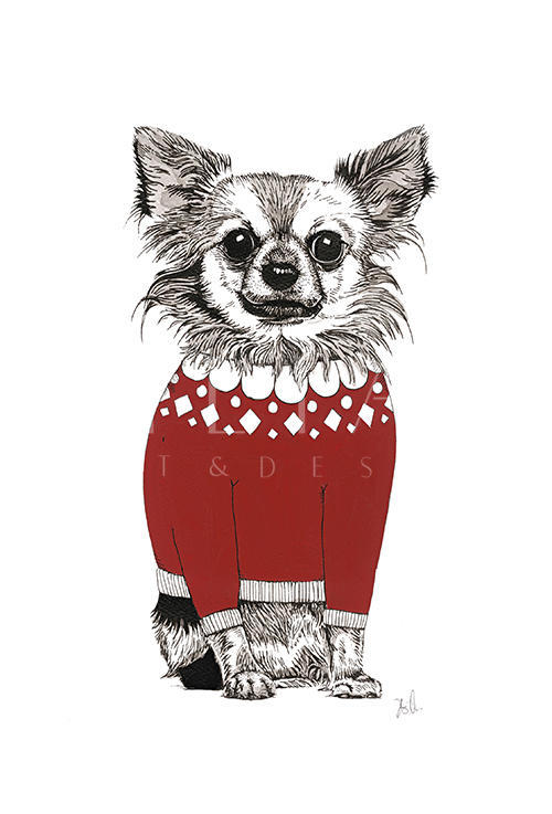 Gentleman Dog Ⅲ