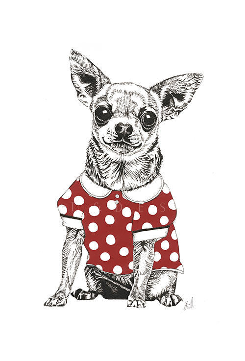 Gentleman Dog Ⅱ