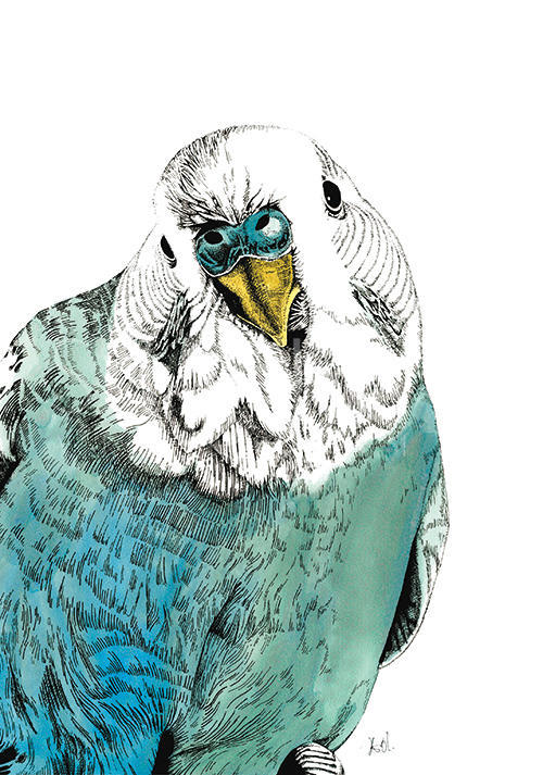 Eagle Portrait Ⅱ