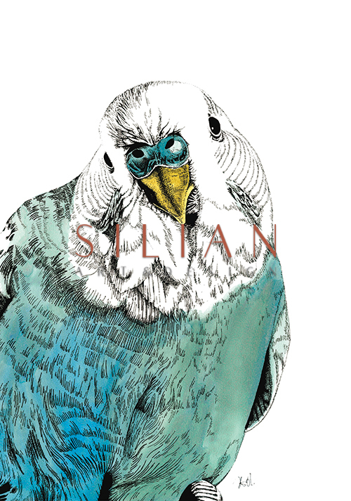 Eagle Portrait Ⅱ