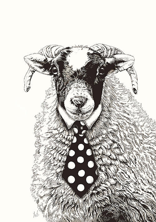 Mr. Sheep