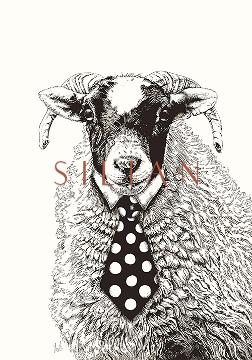 Mr. Sheep