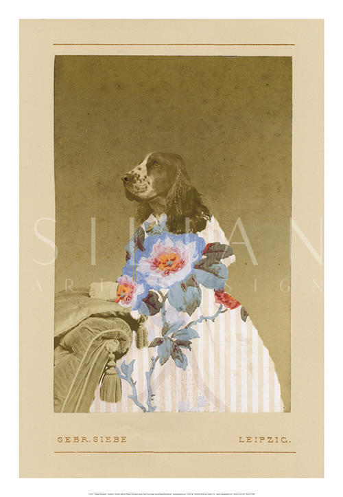Constance