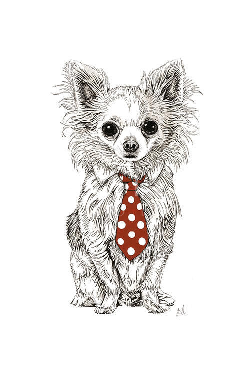 Gentleman Dog Ⅳ