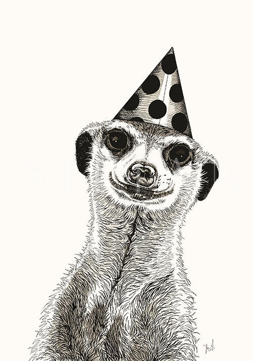The Mongoose in a Hat
