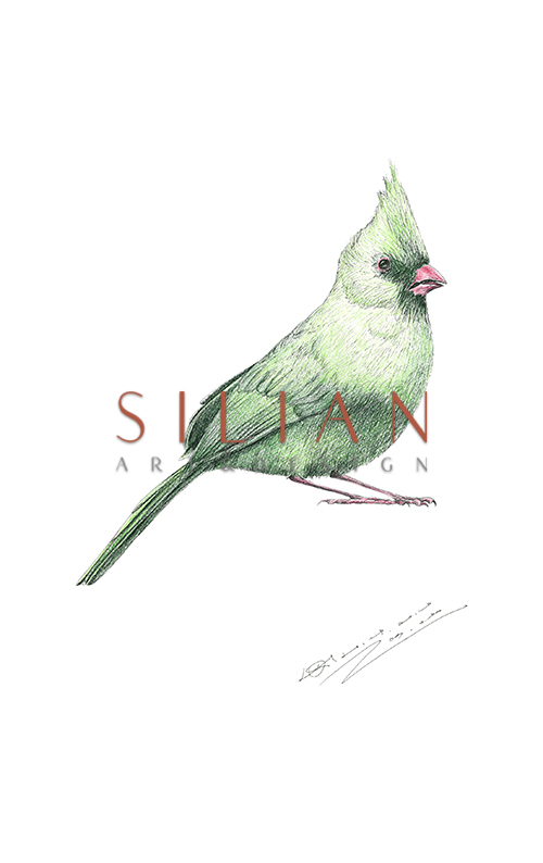 Birds Ⅰ