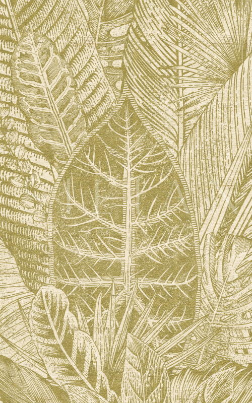 Tropical Attraction III