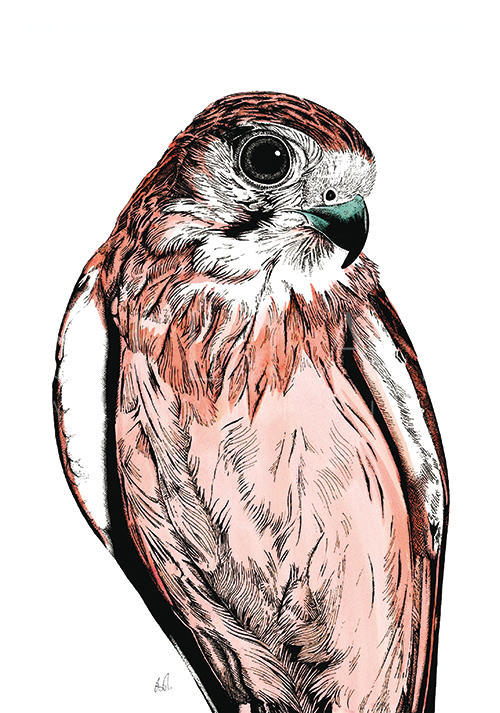Tropical Parrot Ⅲ